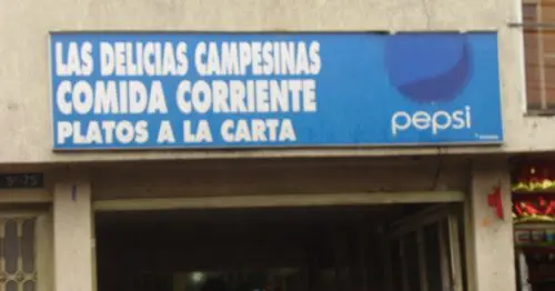 LAS DELICIAS CAMPESINAS LAS DELICIAS CAMPESINAS
